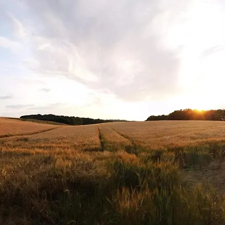 Dom wakacyjny 6 Person In Hejls-by Traum