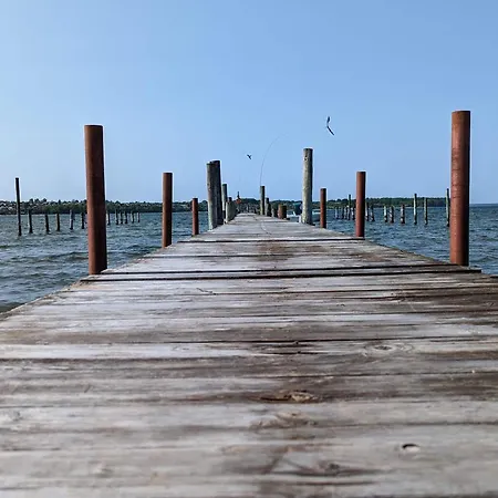 6 Person In Hejls-by Traum * Hejls